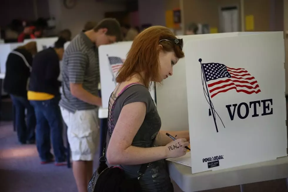 Michigan: How Are Poll Watchers Supposed To Watch From 6 Feet Away?