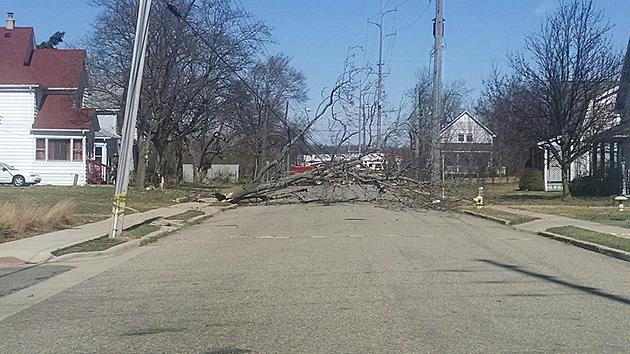 Several Battle Creek Streets Closed To Traffic Due To Downed Trees
