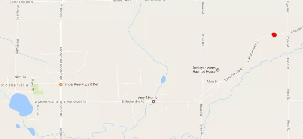 Tekonsha Man Injured in Hillsdale County Crash