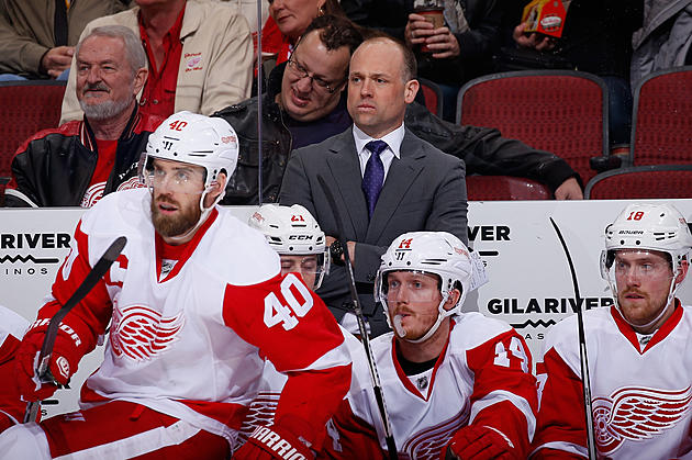 Sports: Wings Keep Blashill and Holland for next season