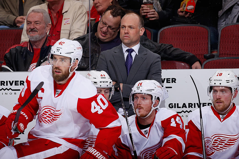 Sports: Wings Keep Blashill and Holland for next season