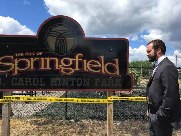 See the Aftermath of Springfield Park Deliberately Burned