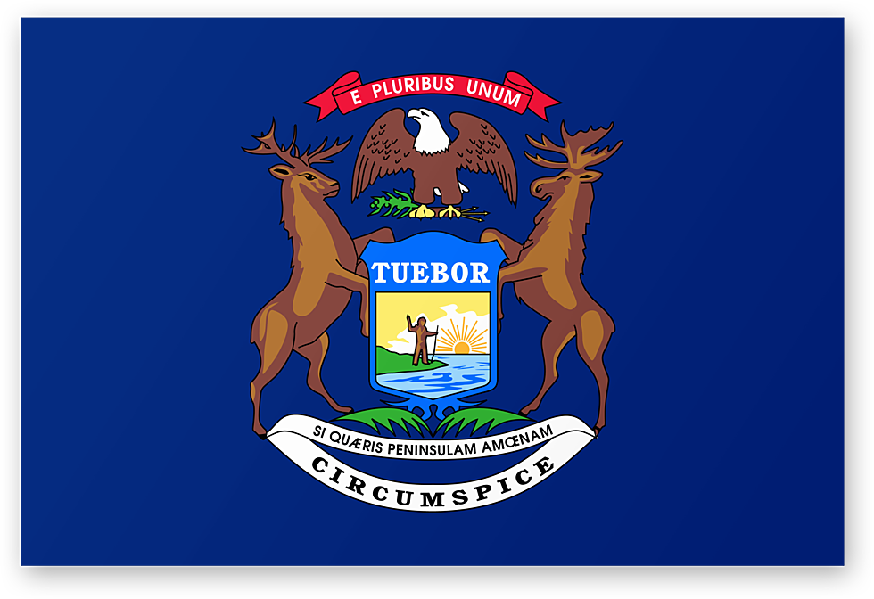 What Do You Think Of This Redesign Of Our State Flag?