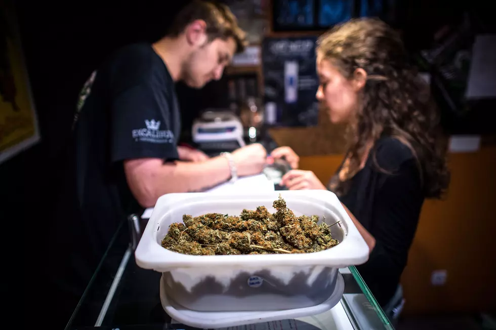 Marijuana Shop Near Kalamazoo Will Start Selling To The Public