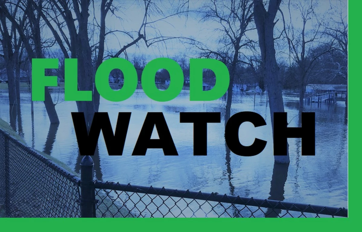 Flood Watch Issued For Parts Of Southwest Michigan