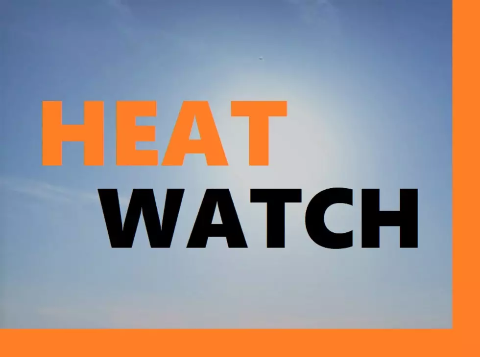 Excessive Heat Watch Issued For Most West Michigan Counties