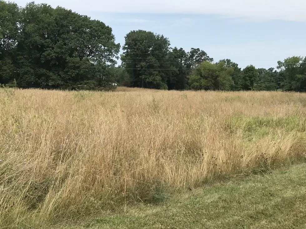 Moderate Drought Expands From Calhoun, Barry To Other West Michigan Counties