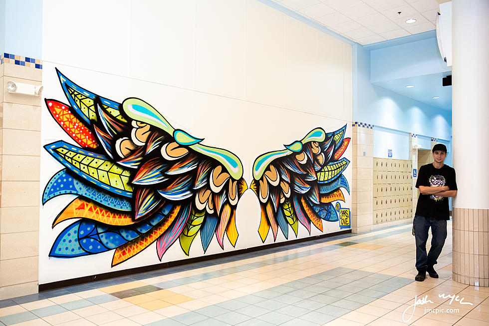 Winning Artist For Lakeview Square Mall Mural Chosen