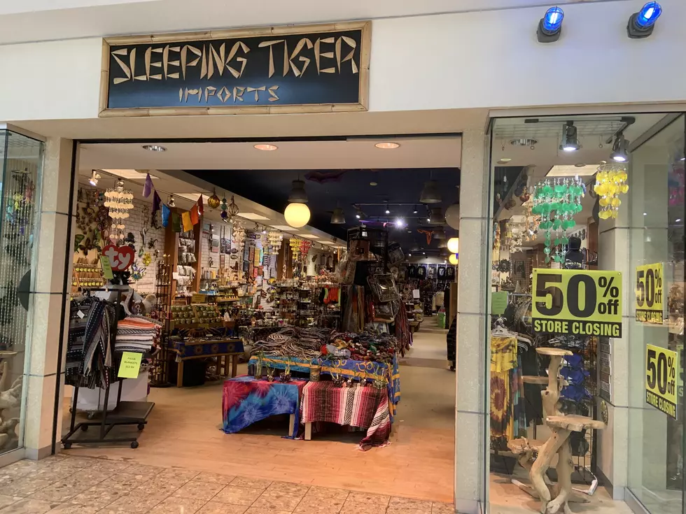 Sleeping Tiger Imports In Lakeview Square Mall Closing