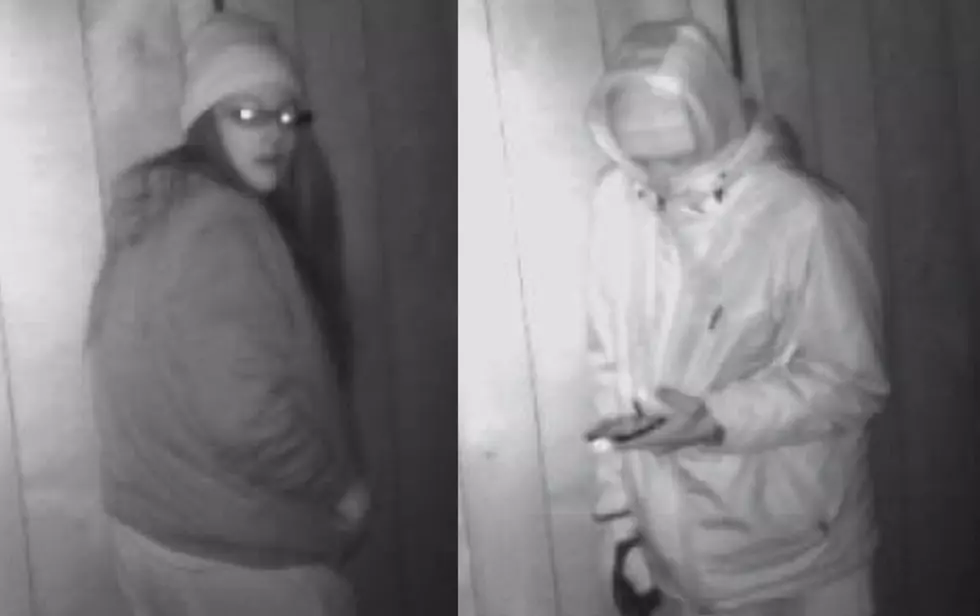 Two Sought in Branch County Break-In