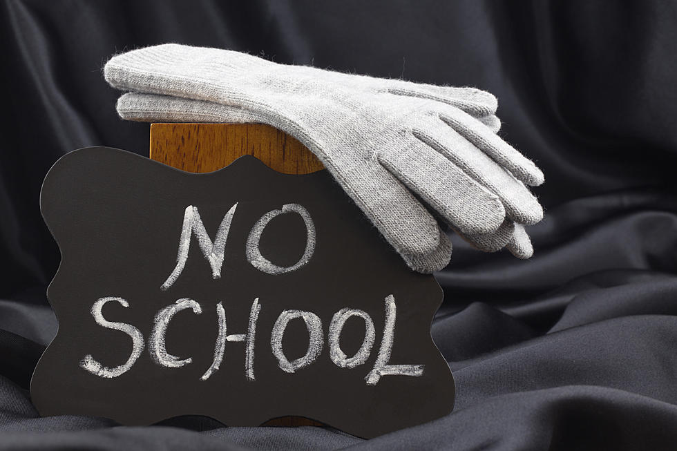 Michigan On A Path To Forgive School Snow Days