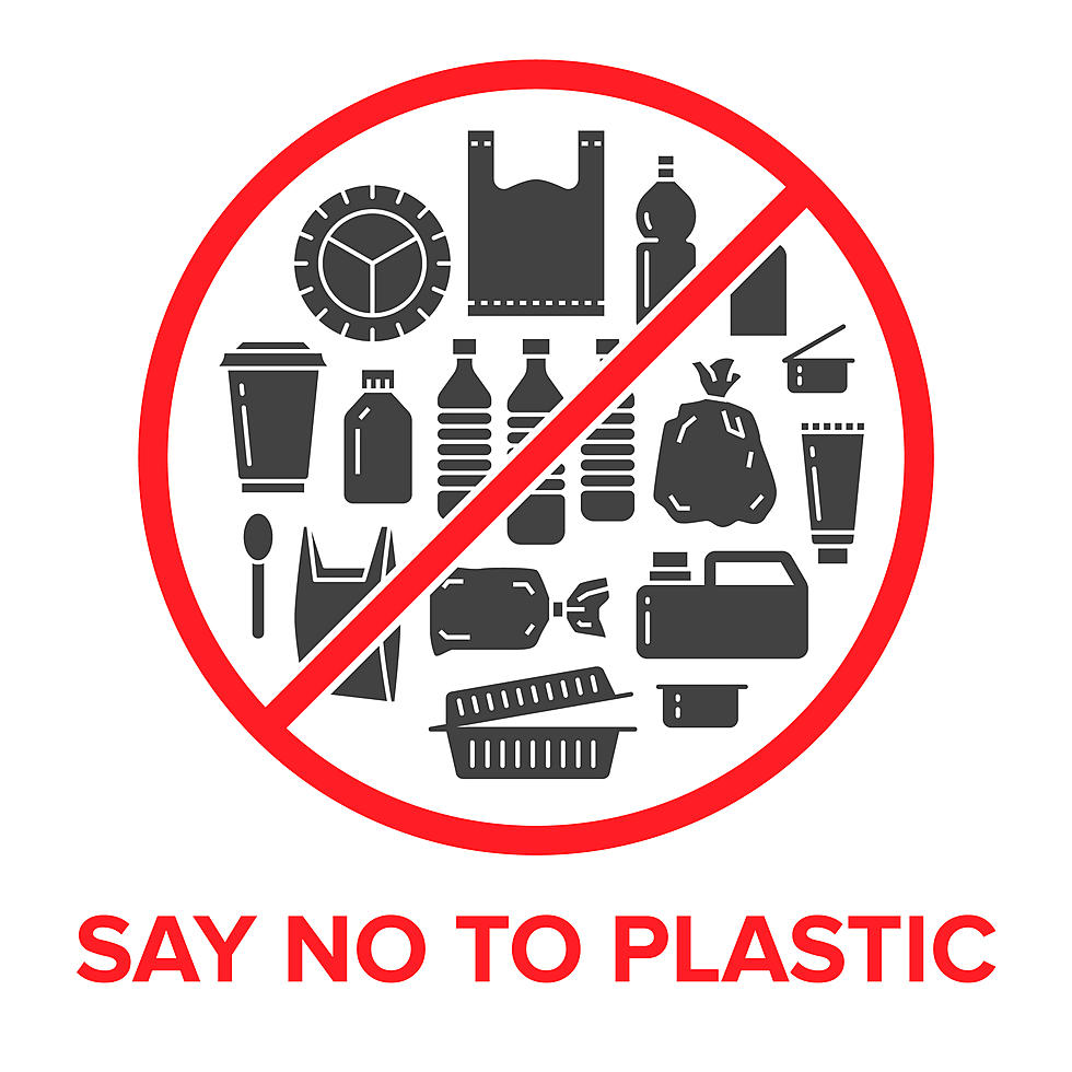 Michigan Should We Ban The Banning of Plastic Bag Banning