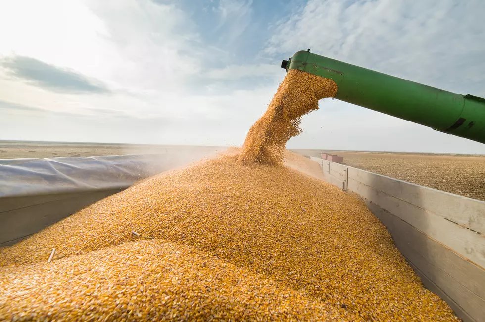 Man Dead After Getting Trapped In Barry Co. Grain Silo