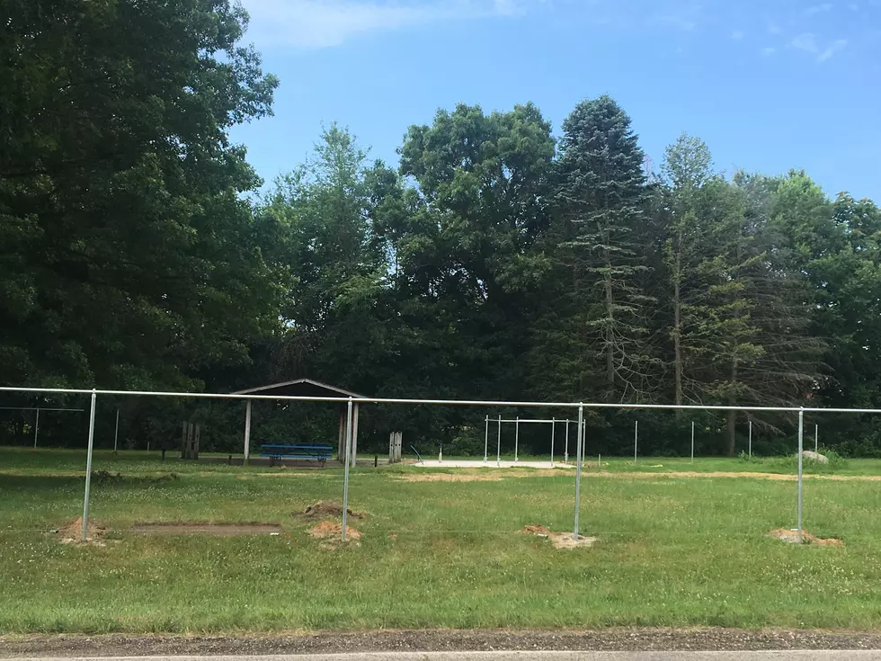 Dog Park Taking Shape