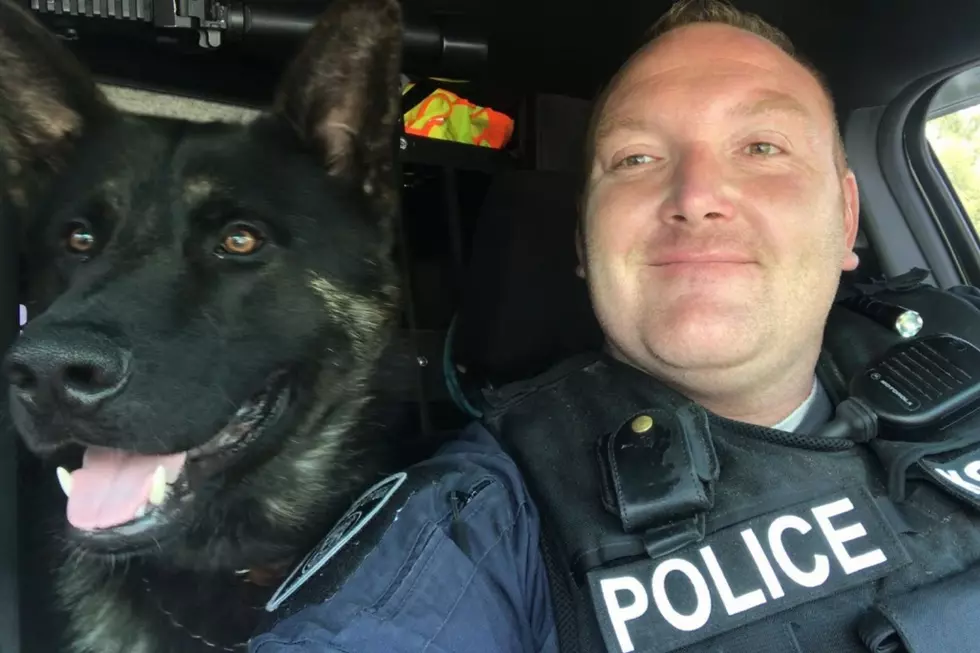 Battle Creek Police Introduce K-9 Felix