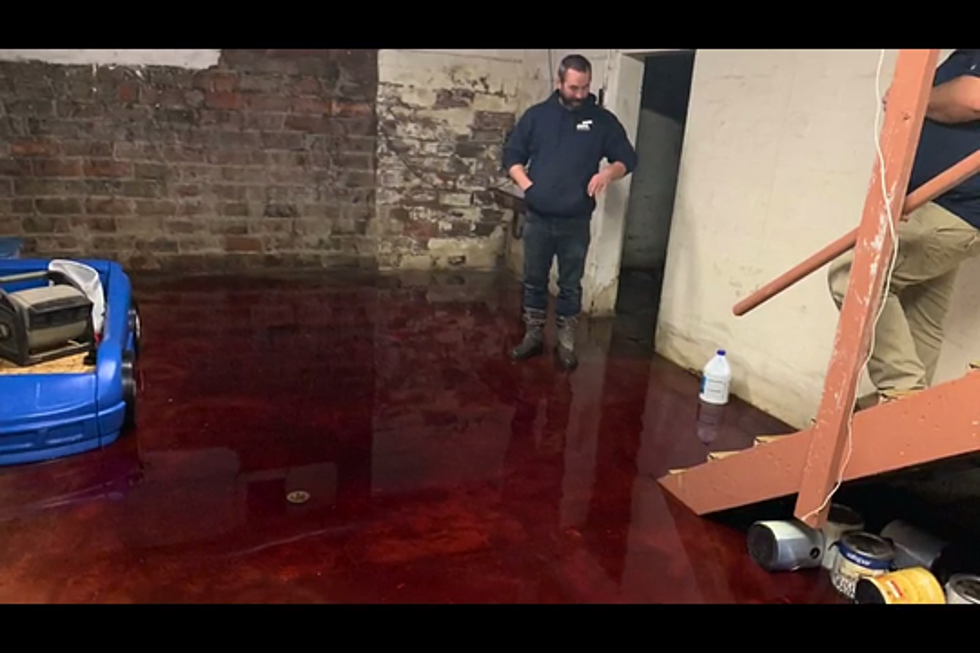 Spooky; A Family Discovers Their Basement Filled With Blood