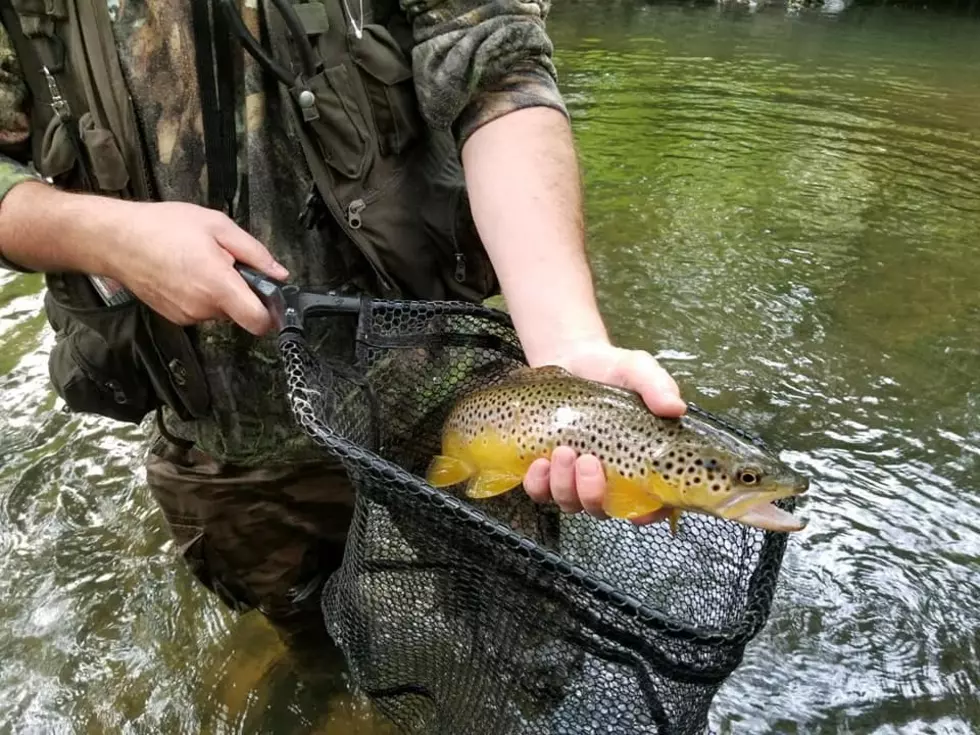 Michigan's Winter Free Fishing Weekend Dates Announced