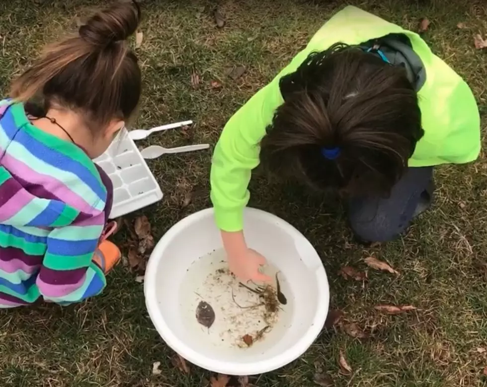 Michigan DNR Shares Treasure Trove Of Education Tools