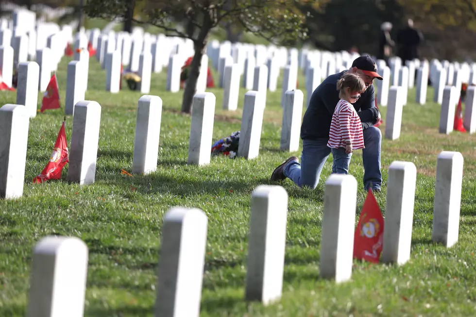 Veterans Day Honored Around The Nation's Capital