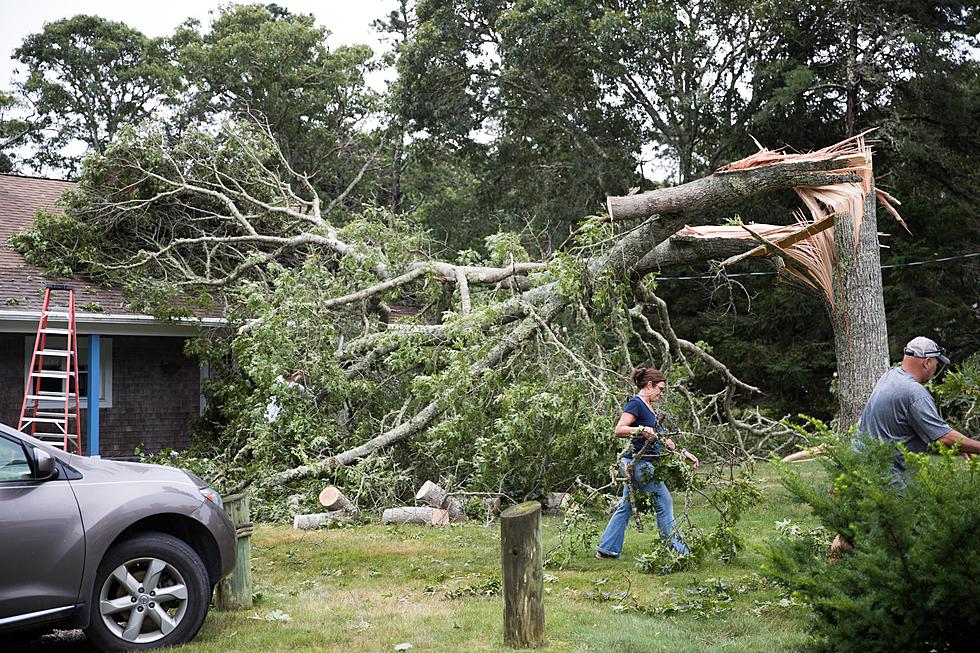 Battle Creek Storm Cleanup: What You Need to Know