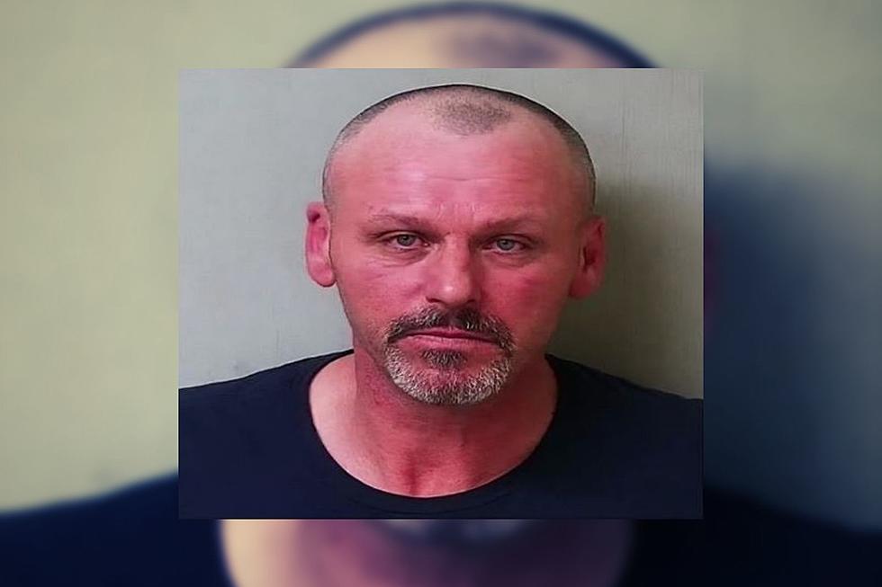 Hillsdale County Home Invasion Suspect Caught After Aerial Search