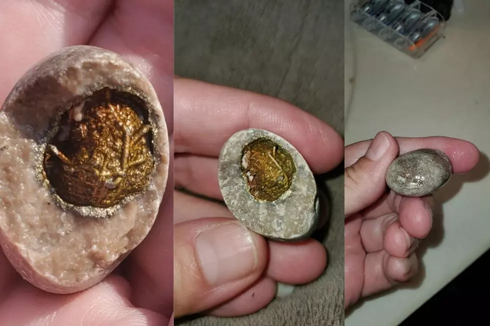 Michigan Woman Needs Help Identifying Unique Rock Found Near Lake Huron