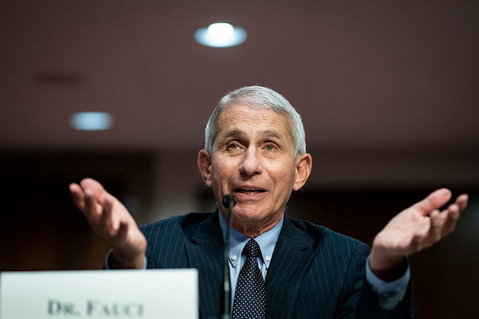 Even Doctor Fauci Sees No Reason To Not Vote In Person