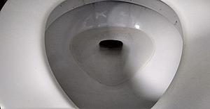 Prosecutor Determines Toilet Protest Is Just That