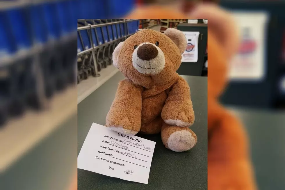 Help Reunite This Teddy Bear Left At A Battle Creek Store With Its Owner
