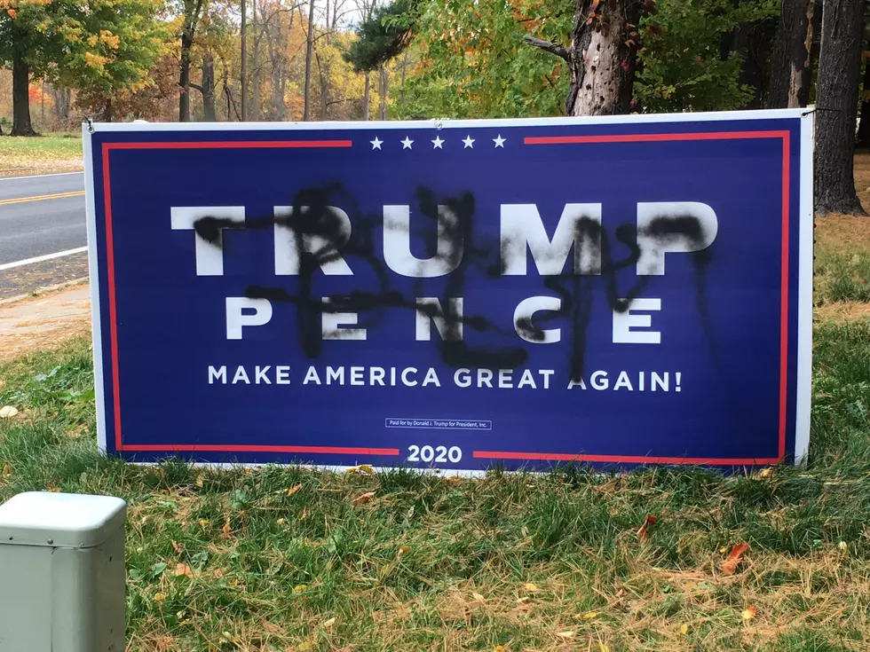 Biden/Harris/Whitmer Supporters Vandalize Trump Signs With BLM Tags