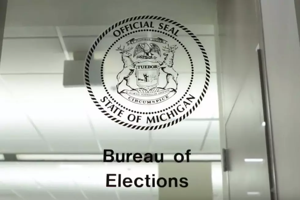 Michigan Announces Historic Post-Election Audits