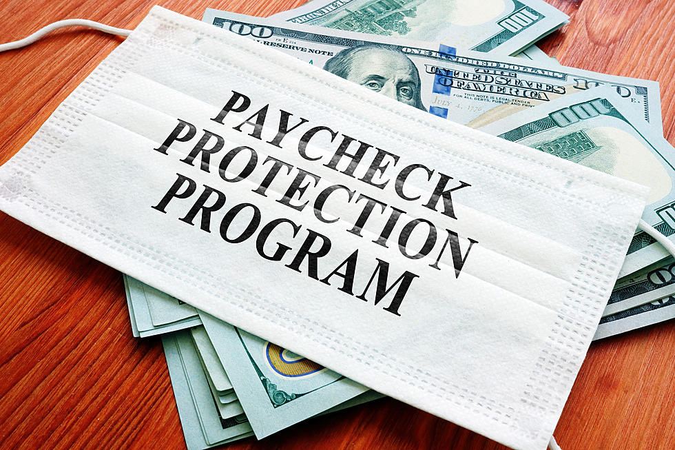 Which Michigan Companies Received The $24 Billion Paycheck Protection Program Taxpayer Cash