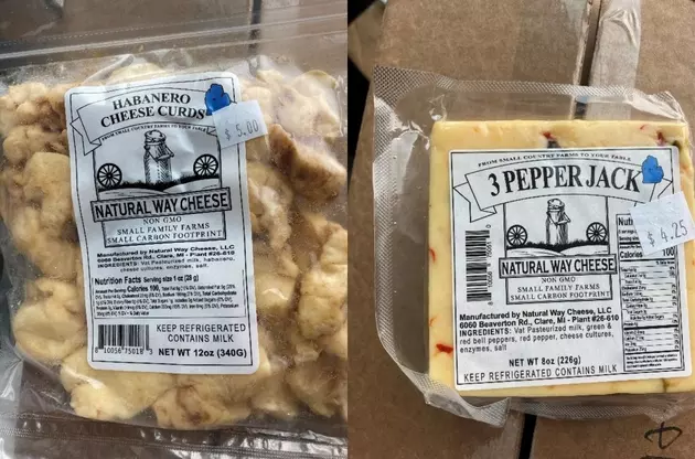 Cheese Sold in Michigan and Indiana Recalled for Health Risk Concerns