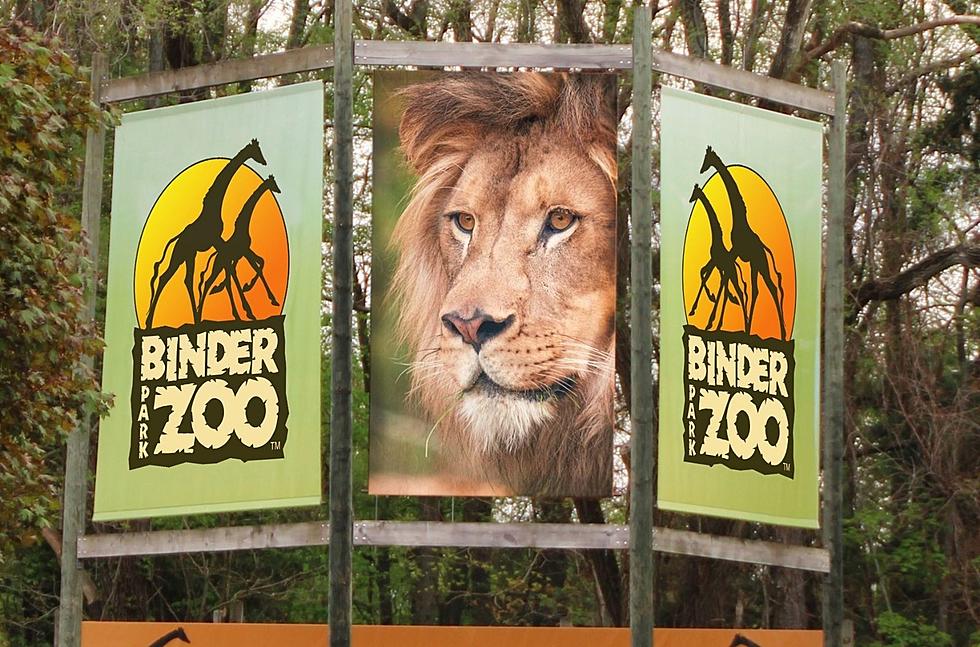 Consumers Energy Giving a Free Day at Binder Park Zoo for First 2,500 People