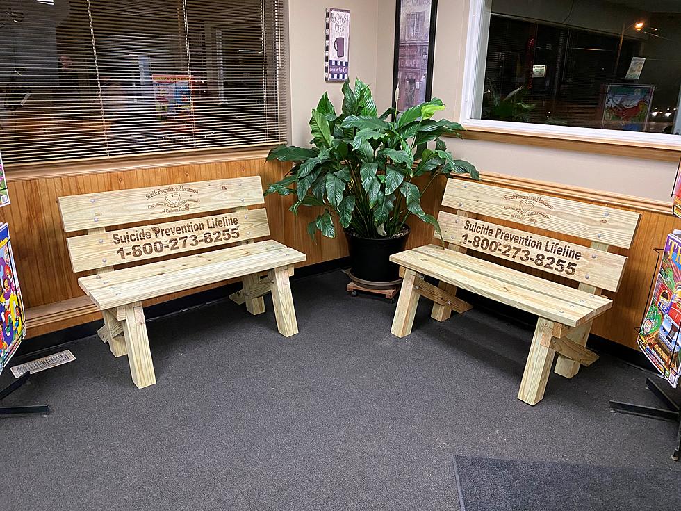 Calhoun County Suicide Prevention Group Builds “Buddy Benches” 