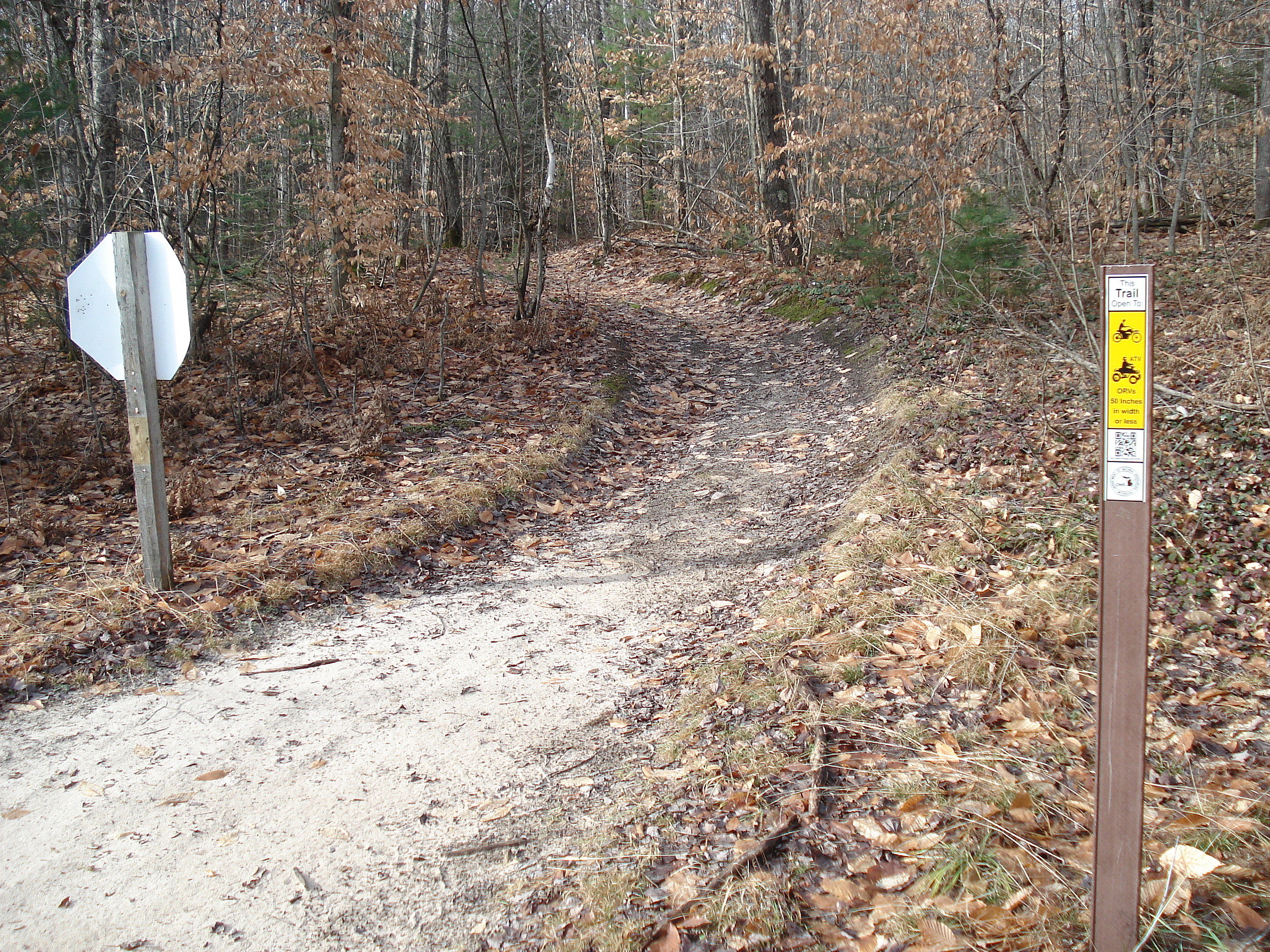 The Most Scenic Hiking Trails in Michigan