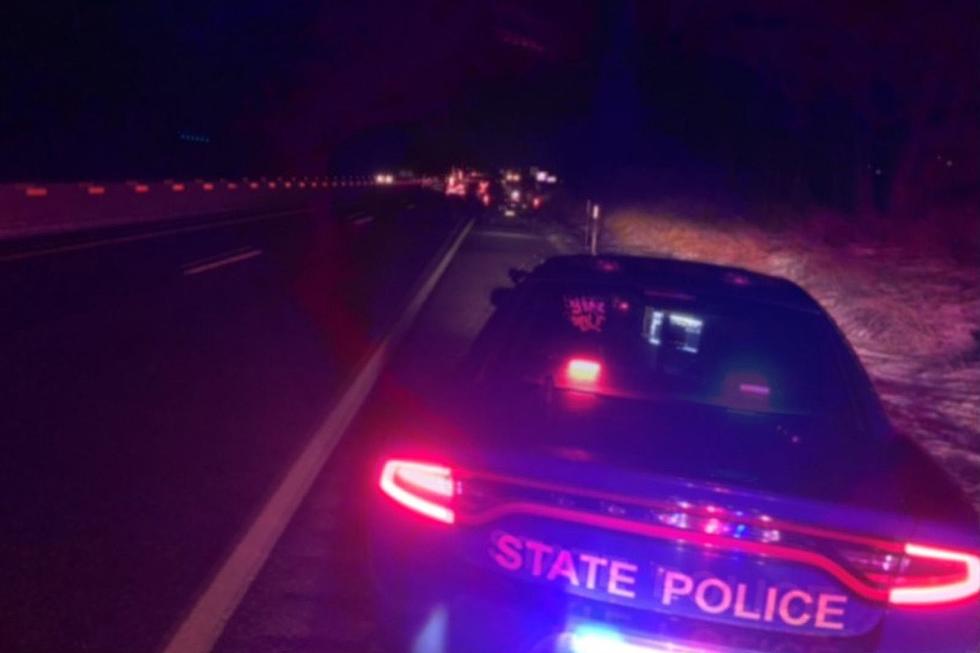 Michigan State Police Release More Details in Fatal Hit and Run on I-94