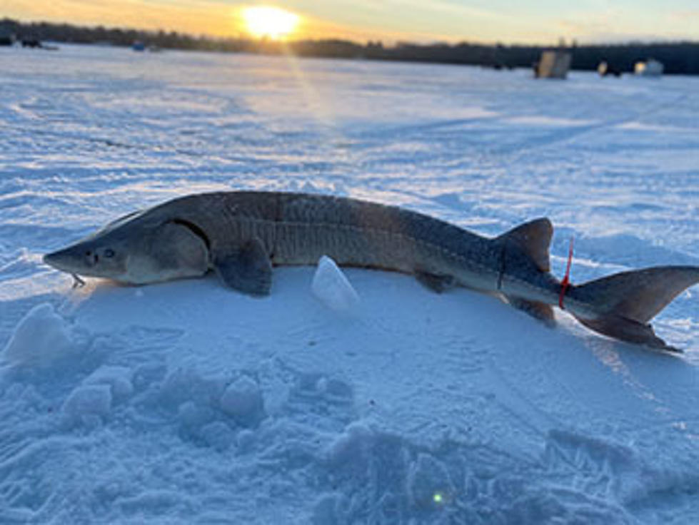 Thirty-Six Minutes of Fishing on Black Lake