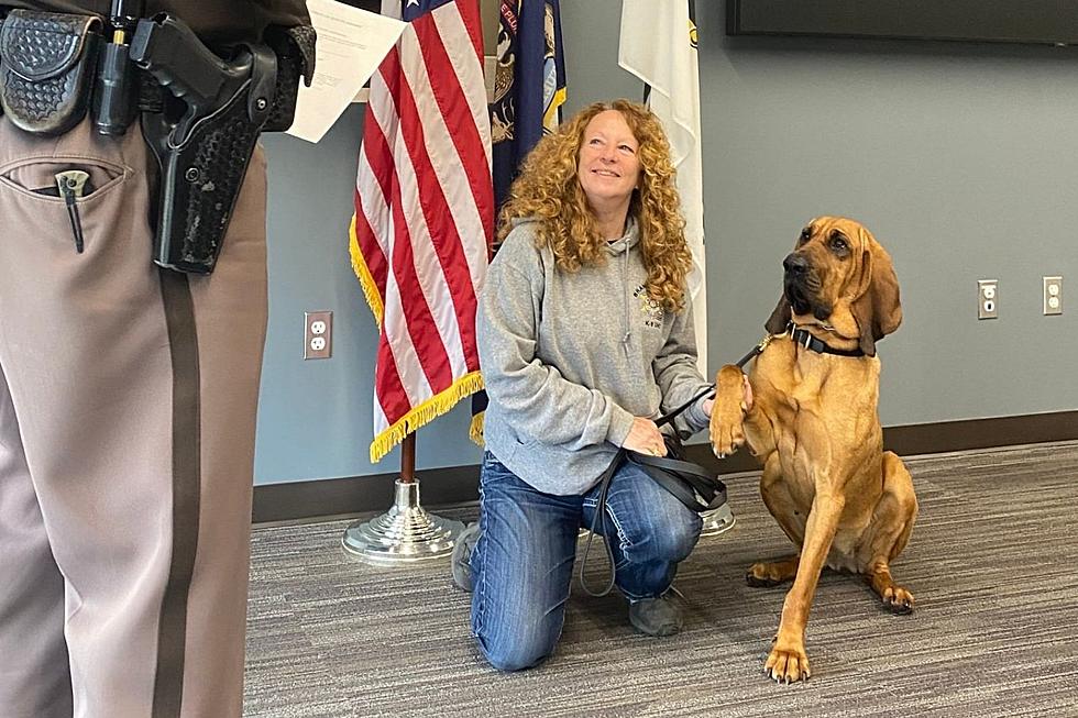 Branch County Sheriff's Office Deputizes its Newest K-9 Nyx