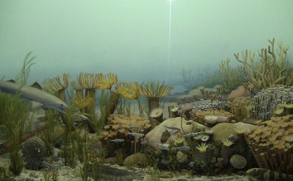 Michigan Was Once a Truly Tropical Paradise, But No One Was Around to See it
