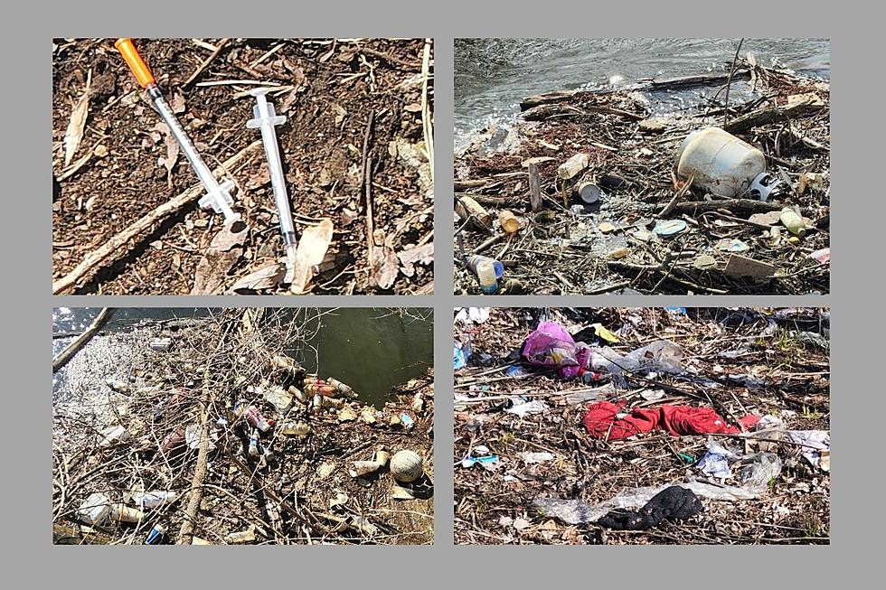 Annual Kalamazoo River Cleanup Event Canceled Due to Biohazard Concerns
