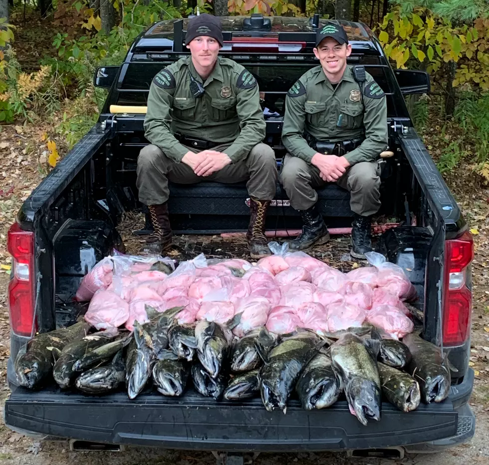 Michigan DNR Nabs 460 Pounds Of Salmon From Poachers