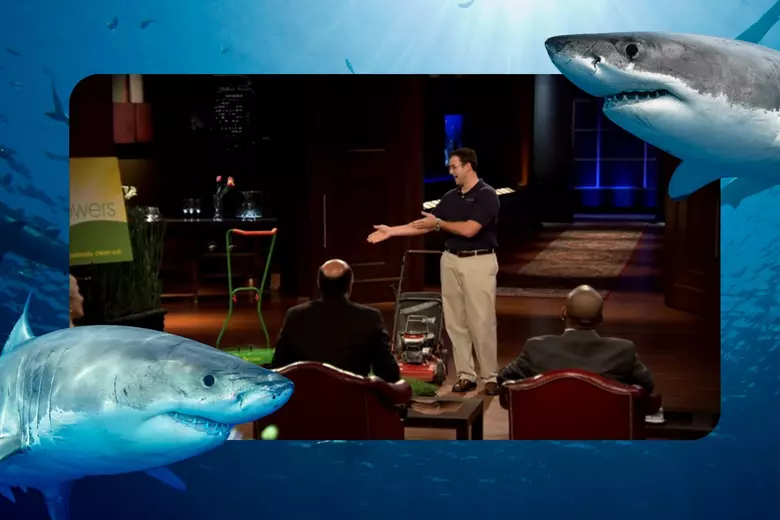 How Shefit Survived the Shark Tank