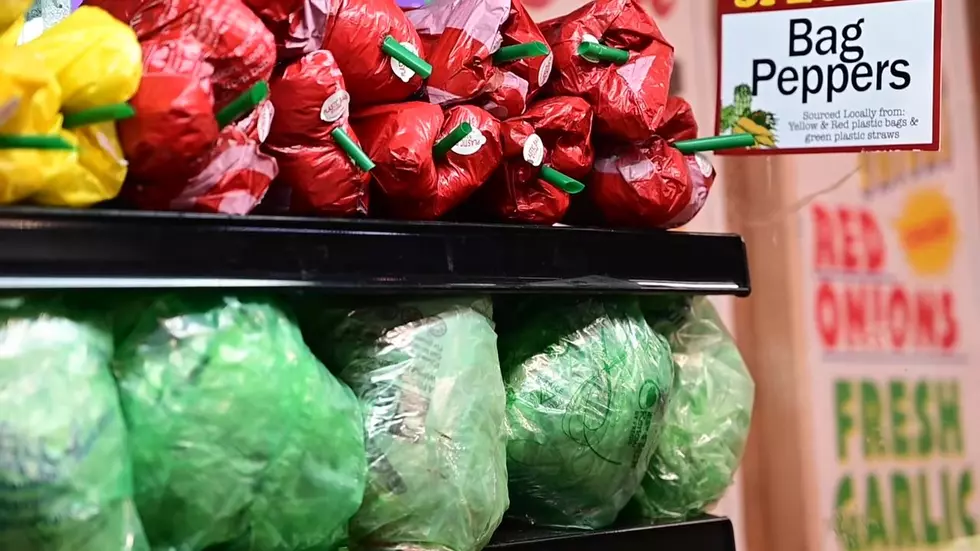 A Surrealistic Plastic Bag Store Visits Ann Arbor 