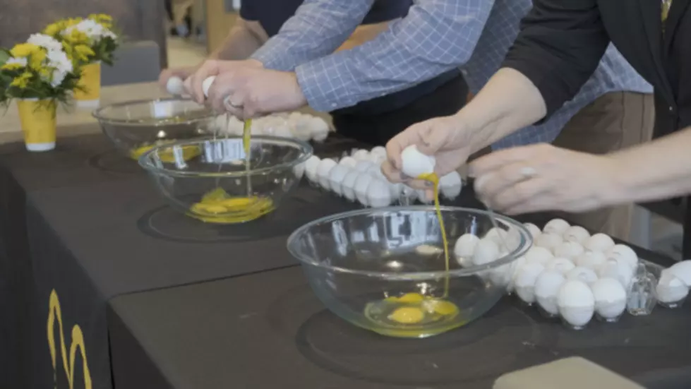 Michigan Department of Agriculture Egg cracking competition