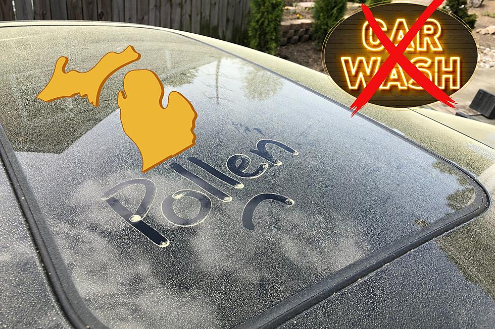 Dealing With Michigan Pollen on Your Car Without The Endless Car Wash Cycle