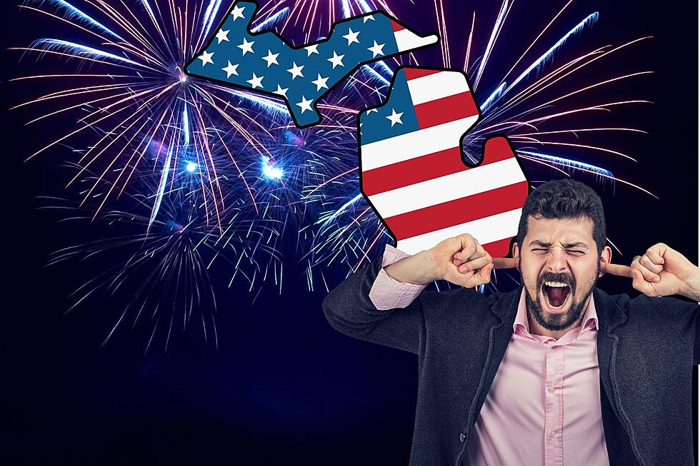 Dislike Fireworks? MI Doesn't Offer Much Alternative for July 4th