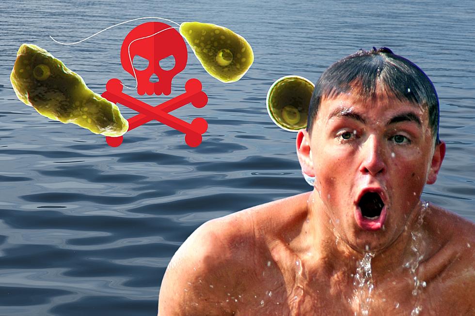 Warning: Deadly Brain-Eating Amoeba May Be Lurking In Michigan Lakes