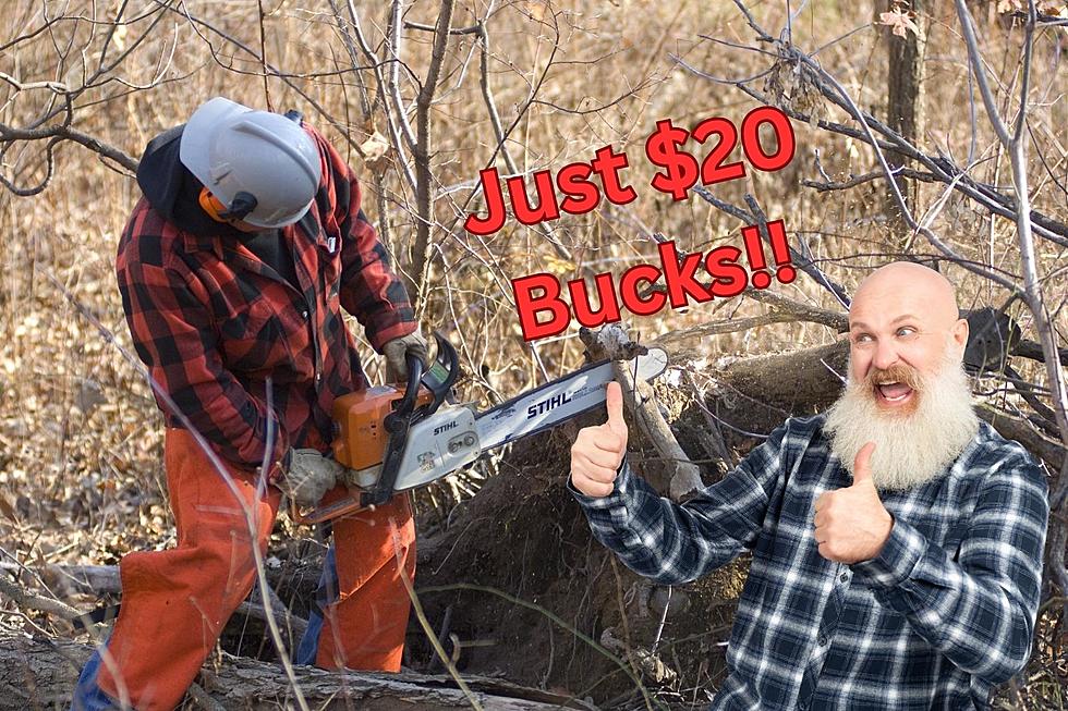 Michiganders: Stock Up On Firewood For Just $20