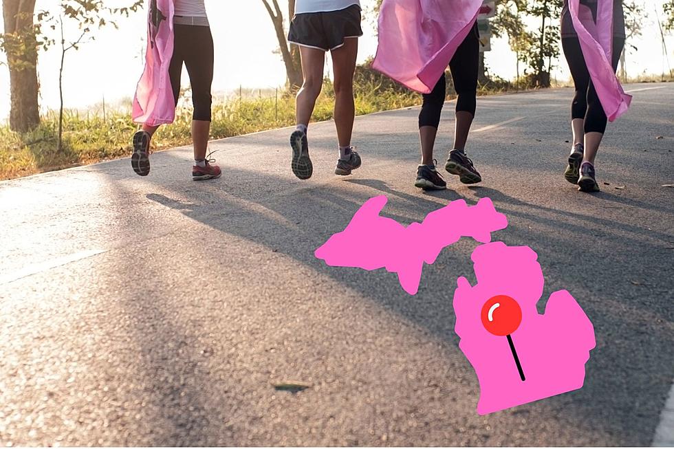 Breast Cancer Fundraising Walk Coming to Battle Creek